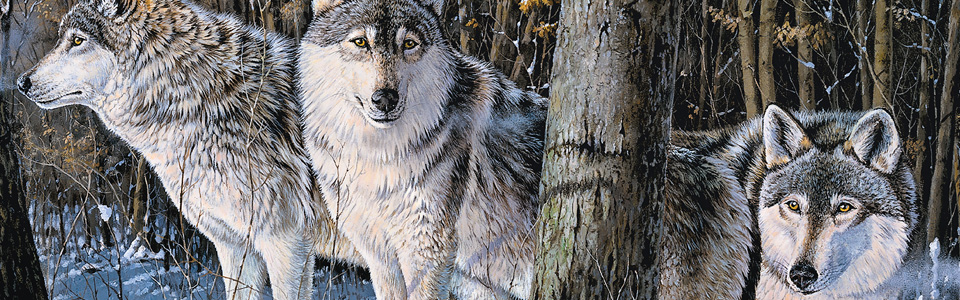 © Silent Trackers—Jack Paluh Jan