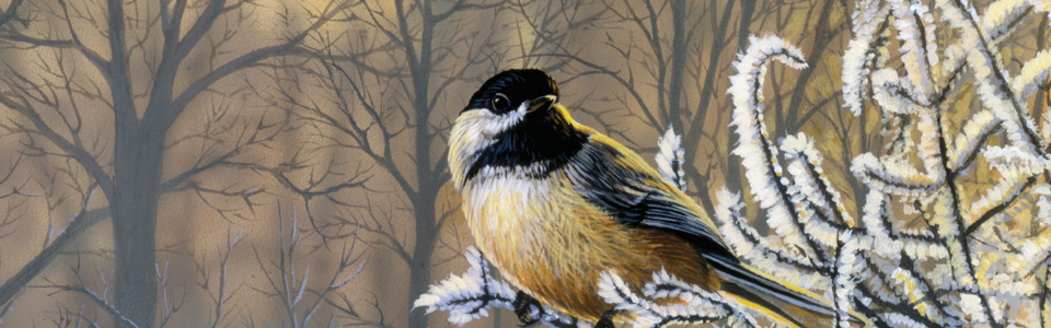 © Morning Frost—Bruce Miller Feb