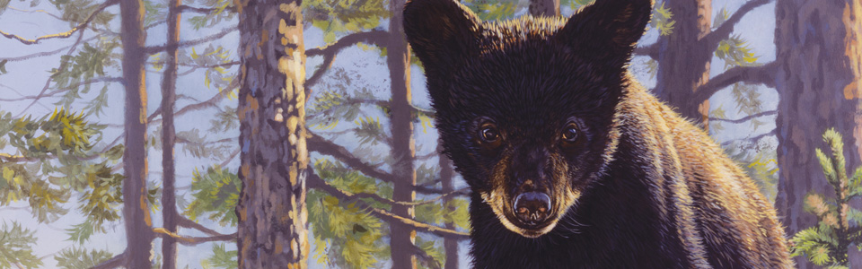 © Stump Jumper—Bruce Miller Mar