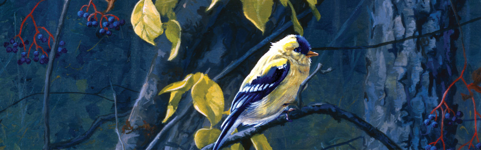 © Yellow Glory—Tom Antonishak May