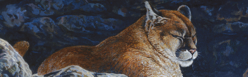 © Resting Mountain Lion—Tom Antonishak Jun