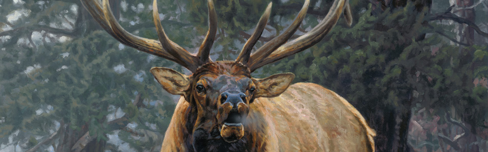 © Foggy Mountain Challenge—Bruce Miller Sep