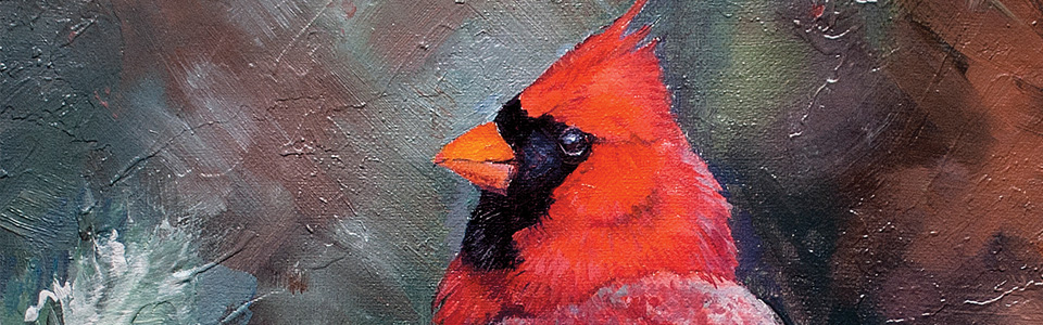 © Mr. Card—Jack Paluh Dec