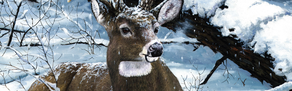 © The Deer—Jack Paluh Jan