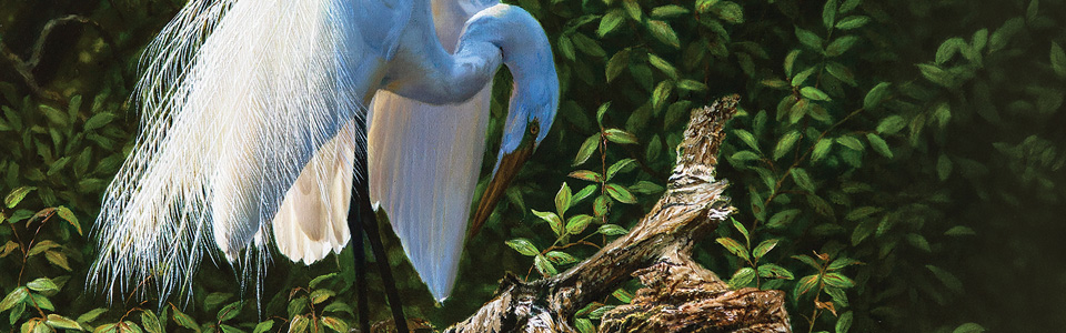 © Preening Princess — Karla Mann May